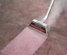 Marana Carpet cleaning special