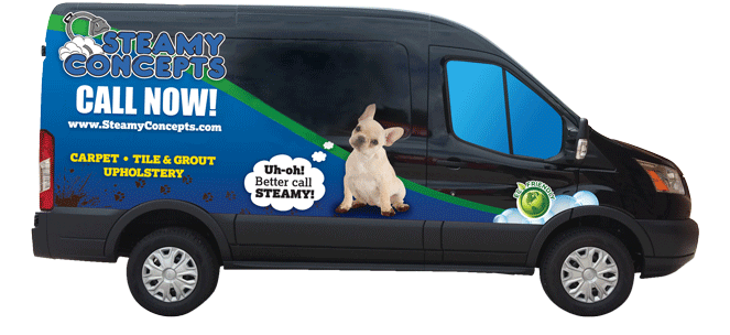 Marana Carpet Cleaning van