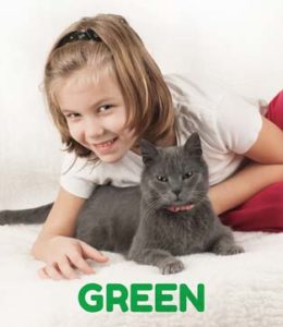 Marana Green Carpet Cleaning